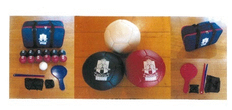 ボッチャ（屋内用）