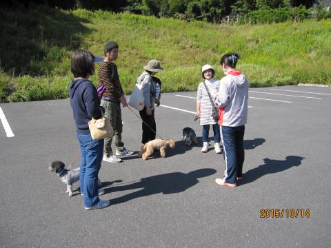 犬の飼い方相談