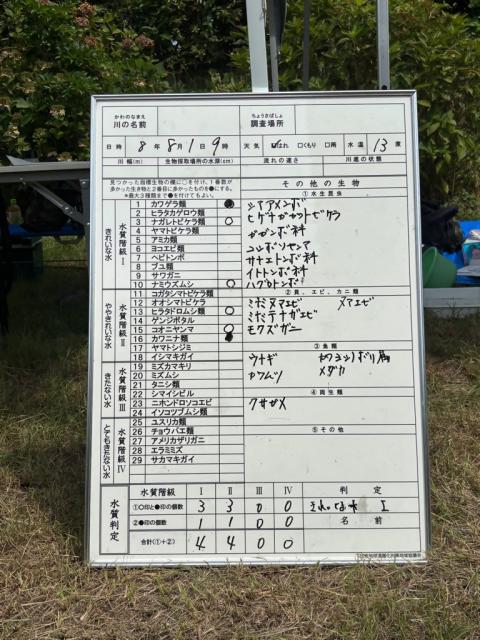 水質の判定結果