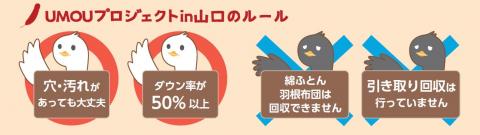 羽毛50％以上の製品のみ回収します