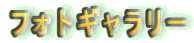 tHgM[