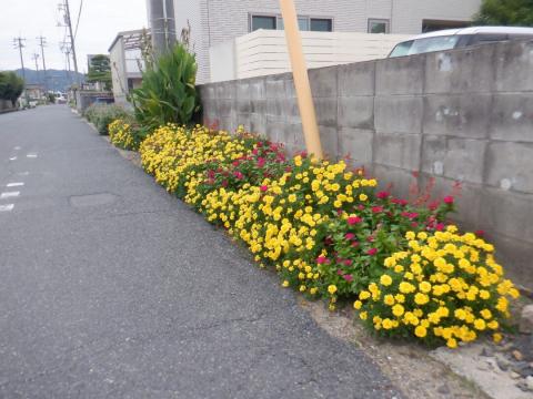 03shionecyou8cyoume_shiminnkennsyou