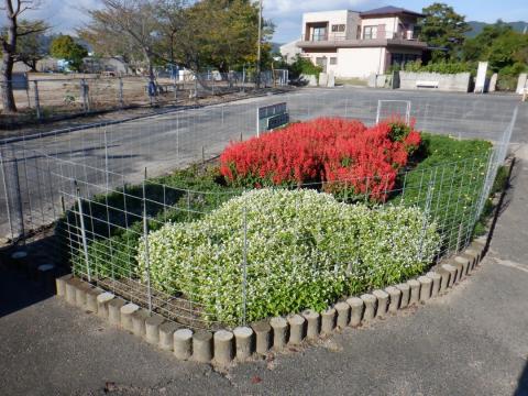 04honuraroujinkurabu_kaicyousyou