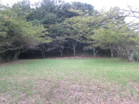 昭和町第2公園