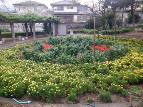 東陽５丁目自治会