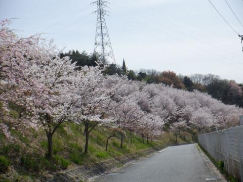 葉山緑地