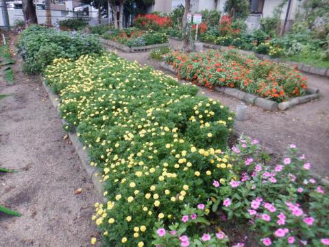 新川公園