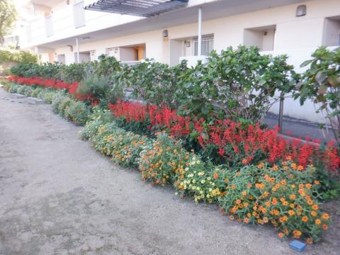 16hataoka1cyoume31toujichikai