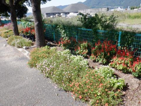 18kudamatsufutoukouen