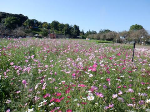 201001supokou2