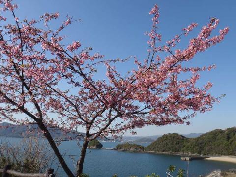 H300306県道01