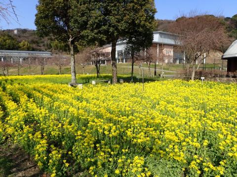 20180323スポーツ公園01