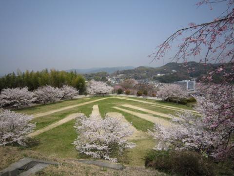 H300329下松公園02