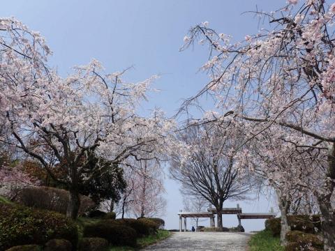 H300329下松公園04