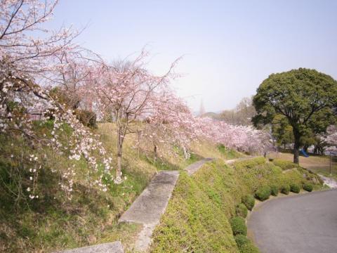 H300329下松公園05