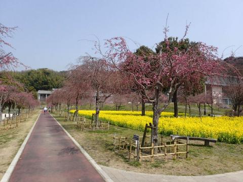 H300329スポーツ公園02