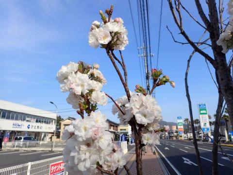 アマノガワ02