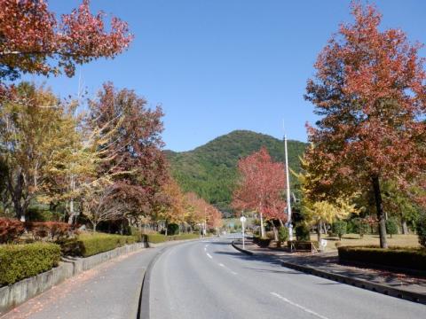 1106米泉湖公園紅葉