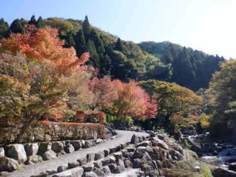 1106滝の口紅葉02