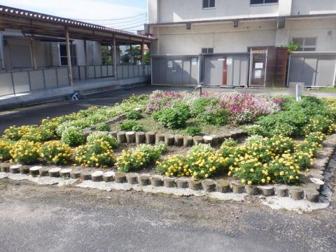21toyoishopta