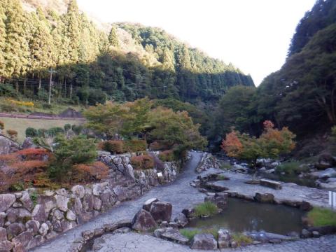 231020takinokuchikasen-kouyou01