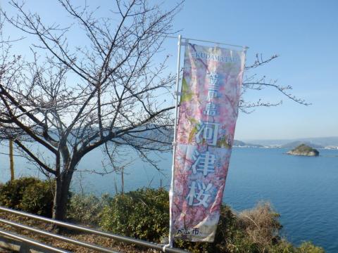 250225kawadu_kasado02