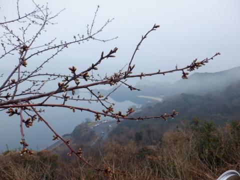 250228kawadu_ryokoumura