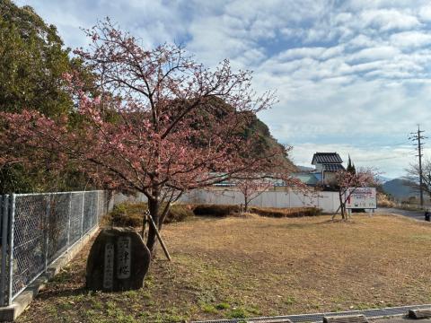 250311kawadu_kasado01