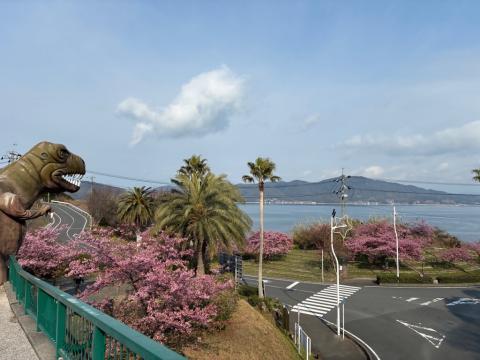 250318kawadu_kasado02