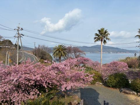 250318kawadu_kasado03