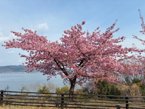 250318kawadu_kasado04