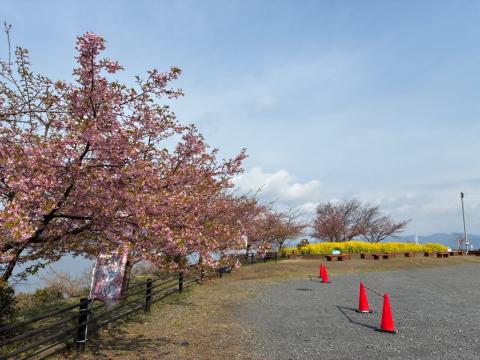 250318kawadu_kasado05