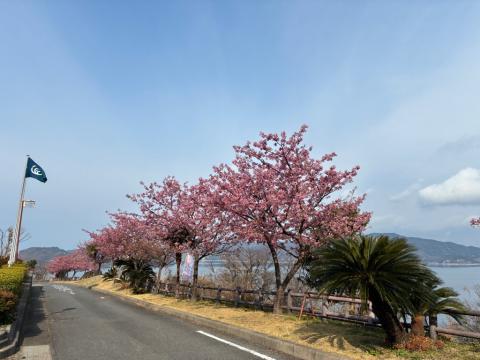 250318kawadu_kasado06