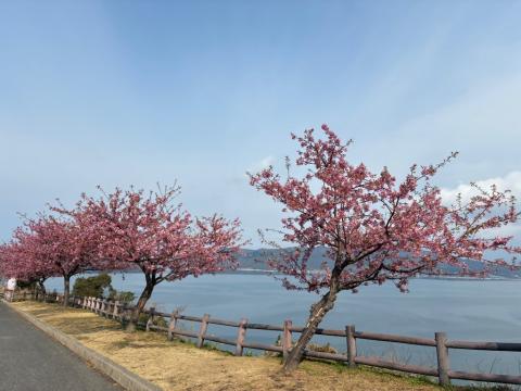 250318kawadu_kasado07