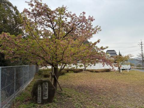 250328kawadu_kasado01