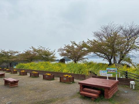 250328kawadu_kasado02