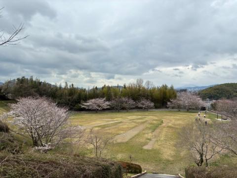 250328somei_kudamatsukouen02