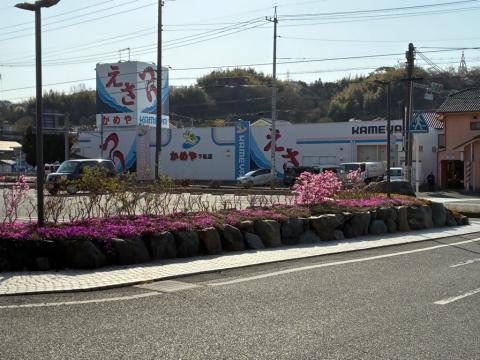 250404yoshinotutuji01.jpg