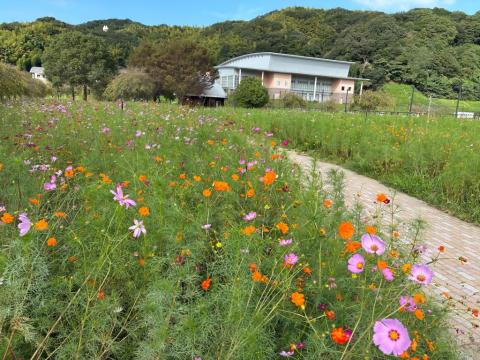 250922supokou-kosumosu02