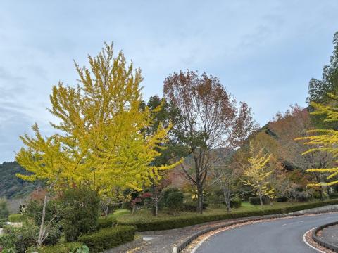 251104beisenko-kouyou02