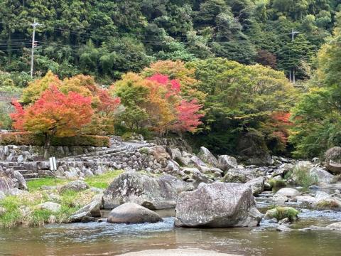 251104takinokuchi-kasen-kouyou01