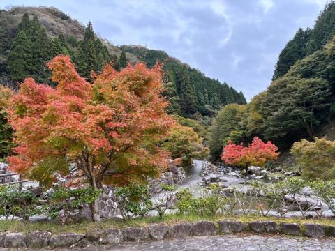 251104takinokuchi-kasen-kouyou03