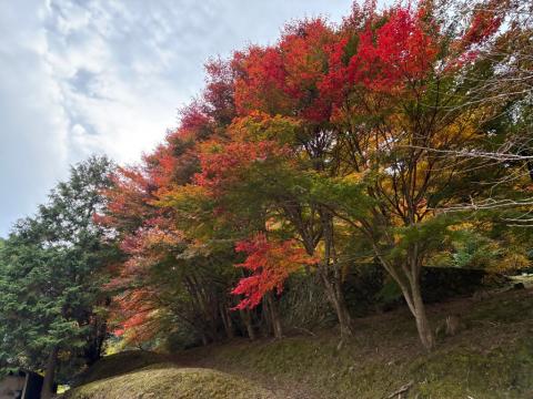 251113kyuunaitouke-kouyou01
