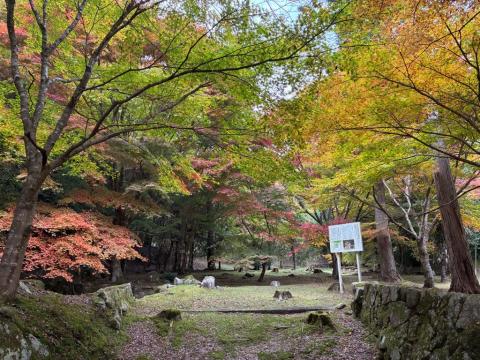 251113kyuunaitouke-kouyou02