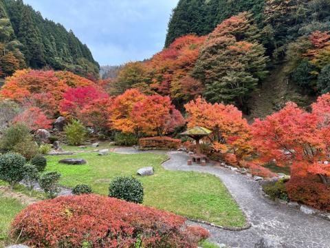 251113takinokuchi-kasen-kouyou01