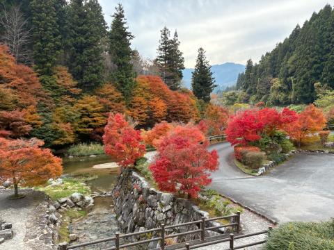 251113takinokuchi-kasen-kouyou03