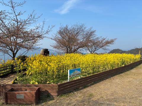 260213nanohana_shiokazegarden