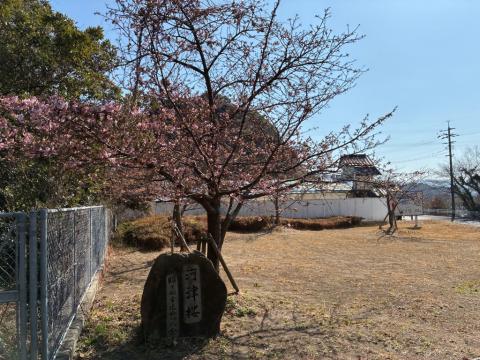 260219kawadu_kasado01