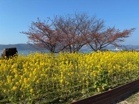 260219kawadu_kasado02