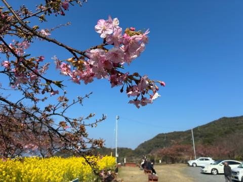 260219kawadu_kasado03